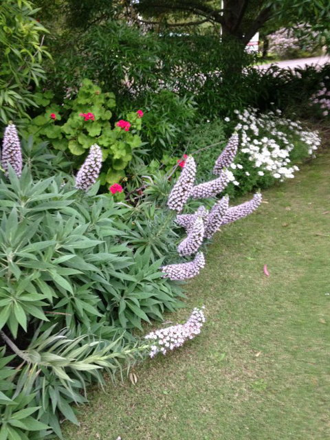 Padthaway Caravan Park - Stayed 2