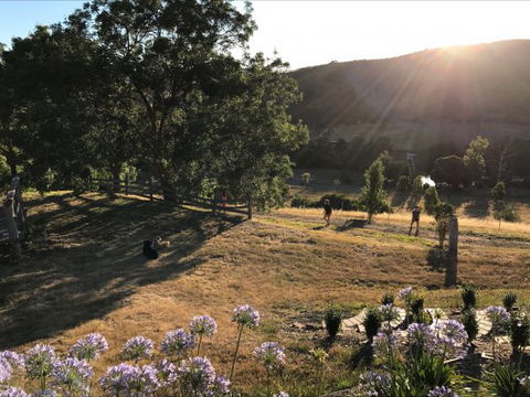 Shearer's Hill - Luxury Farm Stay - Stayed 9