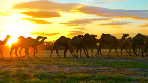 Shandonvale Station - Stayed 4