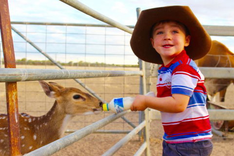 Shandonvale Station - Stayed 9