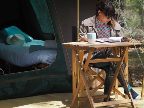 Tall Trees Camping On The Great Ocean Road - Stayed 1