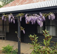 The Gold House - Stayed