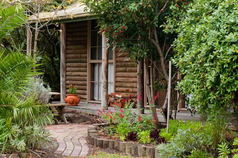 Ti-Tree Village Ocean Grove - Stayed 1