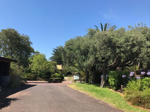 Ti-Tree Village Ocean Grove - Stayed 9