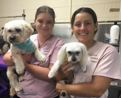 Maraboon Pet Resort - Stayed 1