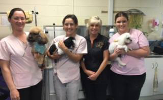 Maraboon Pet Resort - Stayed 2