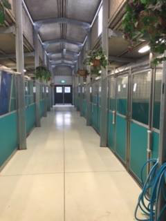 Maraboon Pet Resort - Stayed 3