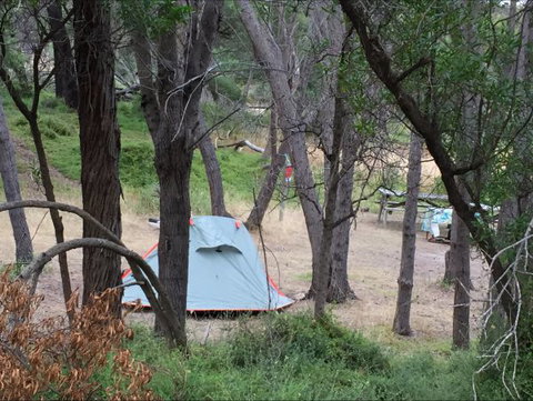 Allports Beach Camping Ground - Stayed 5