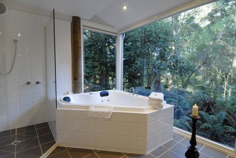 Arnica Views Summit Retreat - Stayed 5