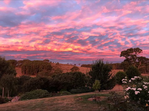 Avaleigh Elms Farmstay - Stayed 5