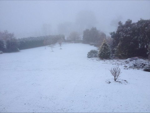 Avaleigh Elms Farmstay - Stayed 6