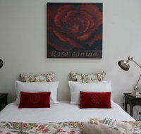 Bright Bliss - Stayed