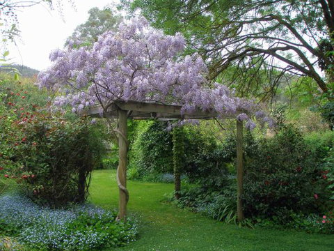 Brookfield Guesthouse - Stayed 8