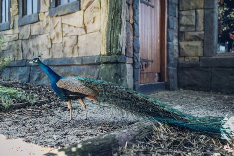 Castle Suites - Kryal Castle - Stayed 5