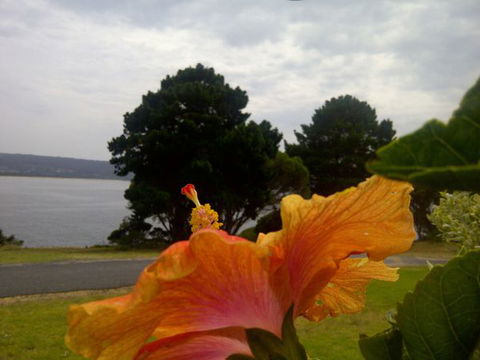 Eden Oceanview - Stayed 1