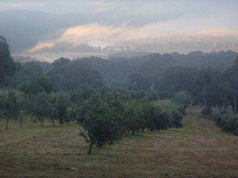 Guy's Cross Farm Cottage - Stayed 3