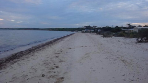 Samuel's Shack - Stayed 6