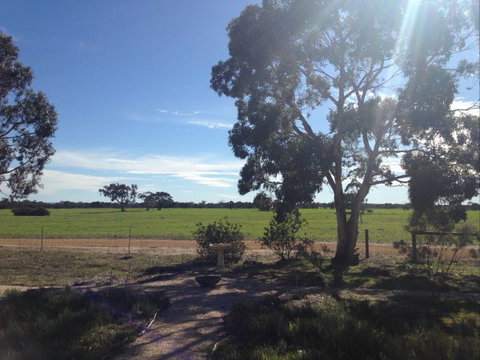 Muntiri Lodge Eco Retreat - Stayed 8