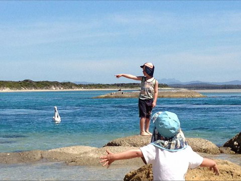 North East River Camping Ground - Stayed 0