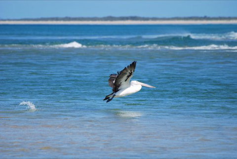 North East River Camping Ground - Stayed 5