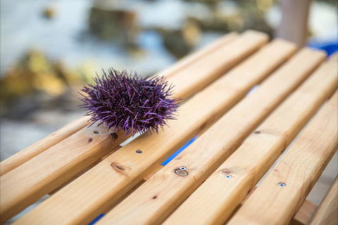 Picnic Island - Stayed 8