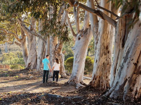 Rilli Retreat - Stays Accommodation 3