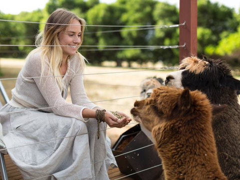 Samadhi Spa And Wellness Retreat - Stayed 7