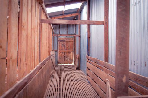 Sandalwood Shearing Shed - Stayed 8