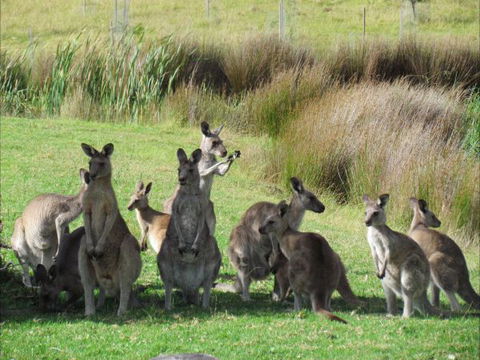 Tanja Lagoon Camp - Stayed 6