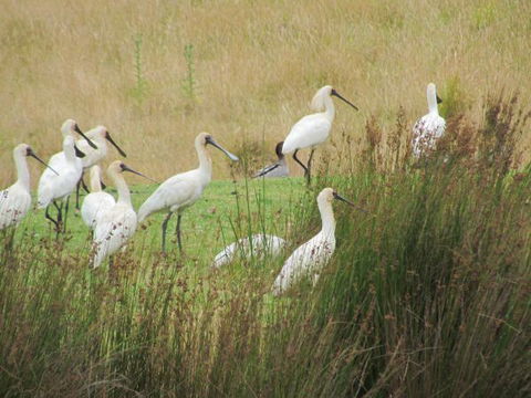 Tanja Lagoon Camp - Stayed 9