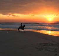 Tassiriki Ranch Beach Horse Riding and Holiday Cabins - Stayed