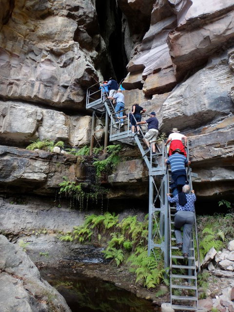Takarakka Bush Resort Carnarvon Gorge - Stayed 0