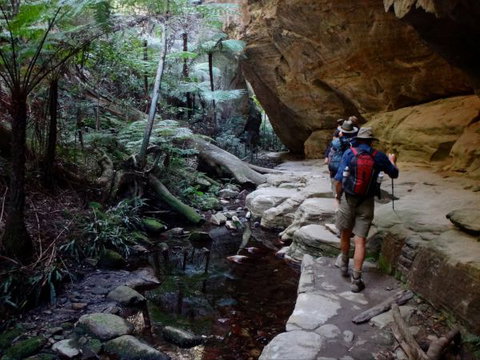 Takarakka Bush Resort Carnarvon Gorge - Stayed 6
