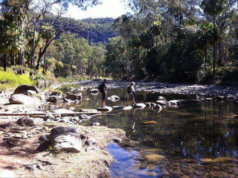Takarakka Bush Resort Carnarvon Gorge - Stayed 9