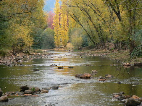 Tessies Studio - Stays Accommodation 8