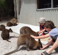 The Patriarch Wildlife Sanctuary Camping Ground - Stayed