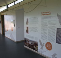 Whitestone Apartments - Stays Accommodation