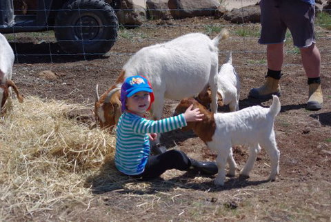 Yalooka Farm - Stayed 3