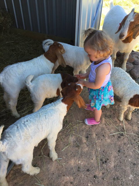 Yalooka Farm - Stayed 7