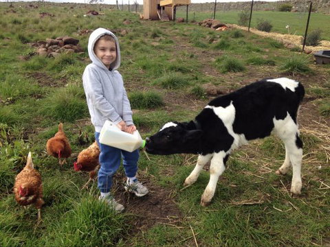 Yalooka Farm - Stayed 8