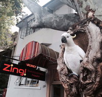 Zing Backpackers Hostel - Stayed
