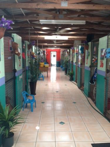 Hillcrest Pet Resort - Stayed 0