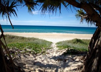 Pacific Surf - Stayed 4