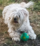 Ilbilbie Motel - Stayed 1