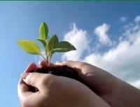 Vital Spirit Natural Health - Stayed 0