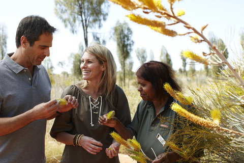 Ayers Rock Campground - Stayed 2