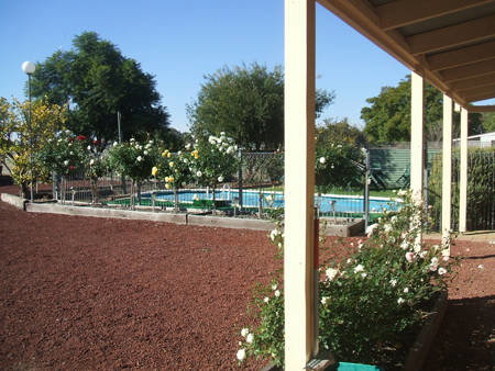 Barham Colonial Motel - Stayed 1