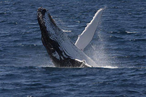 Bayview Apartments - Stayed 1