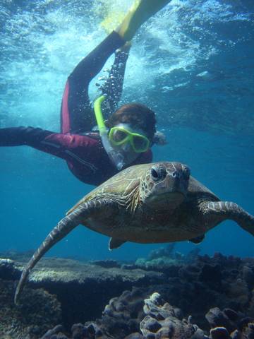 Bayview Coral Bay - Stayed 3