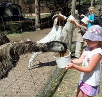 BIG4 Bairnsdale Holiday Park - Stayed